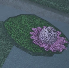 Lily Pad Egg