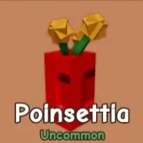 Poinsettia
