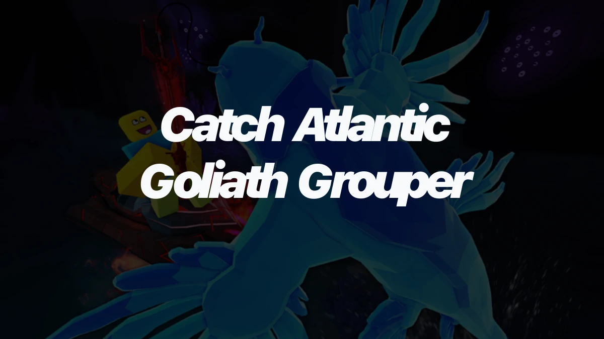How to Catch Atlantic Goliath Grouper in Fisch